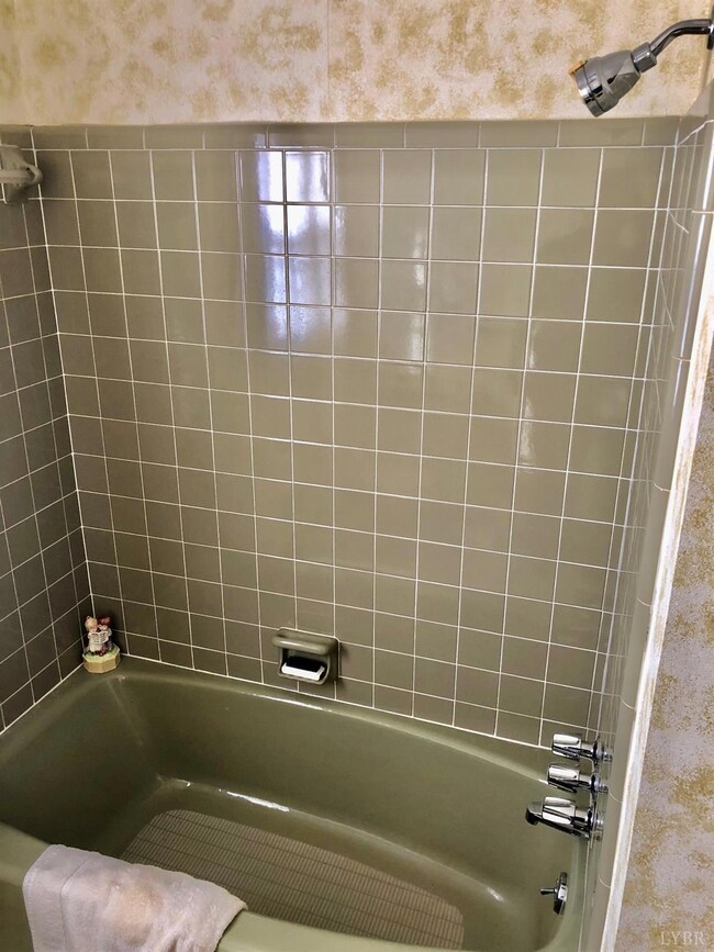 295 White Pine Dr, Lynchburg, VA 24501 - photo 6