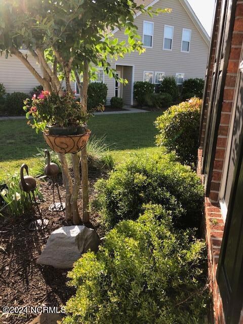 front yard gardens