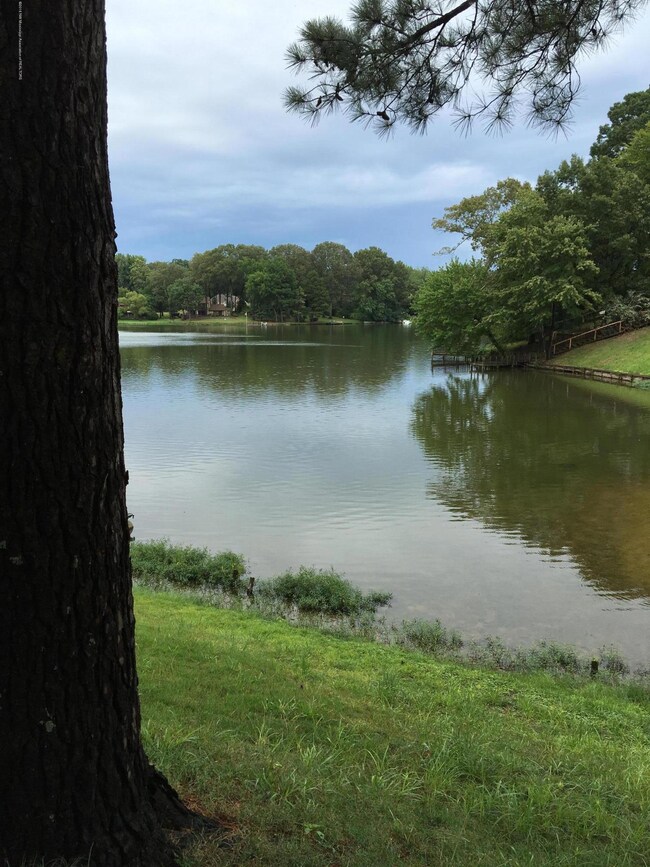 Backyard Fishing