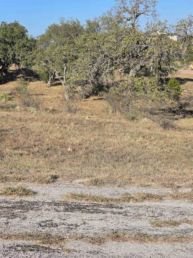 Lt W4095 Grandview Bay W, Horseshoe Bay, TX 78657 - photo 2