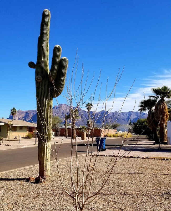 Front Yard View