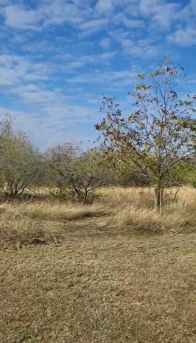 200 Private Road 1402, Morgan, TX 76671 - photo 3