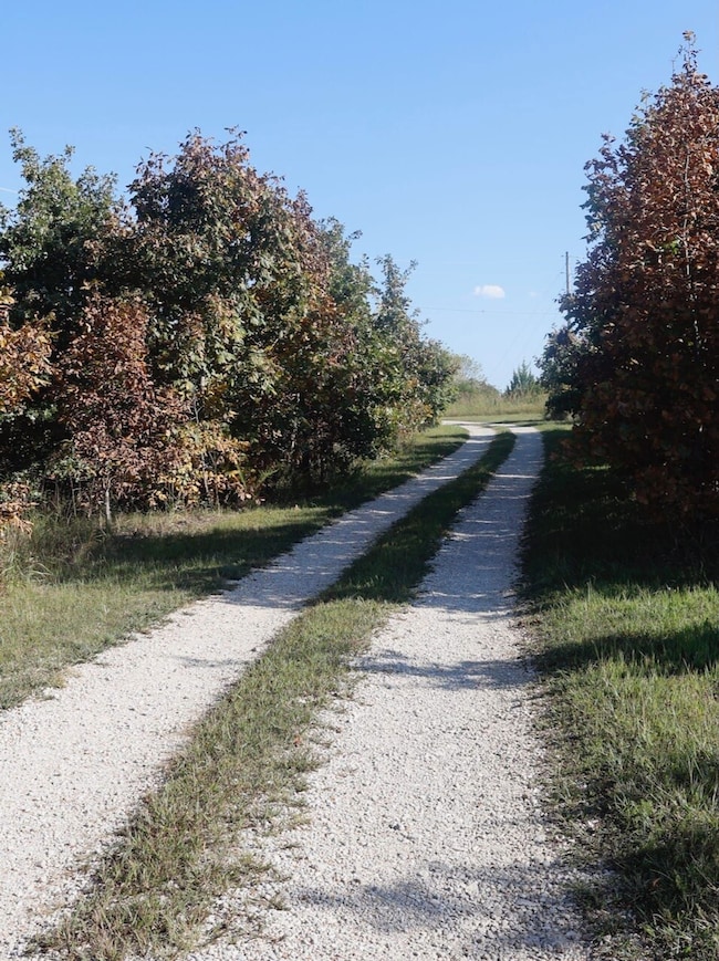 24900 Clementine Rd, Newburg, MO 65550 - photo 2