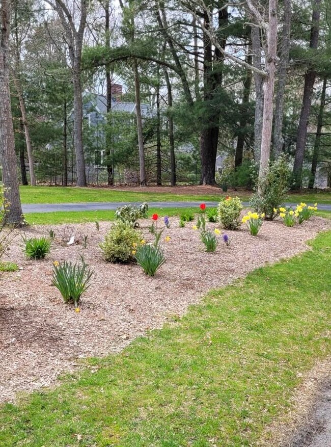 635 Lumbert Mill Rd, Centerville, MA 02632 - photo 2