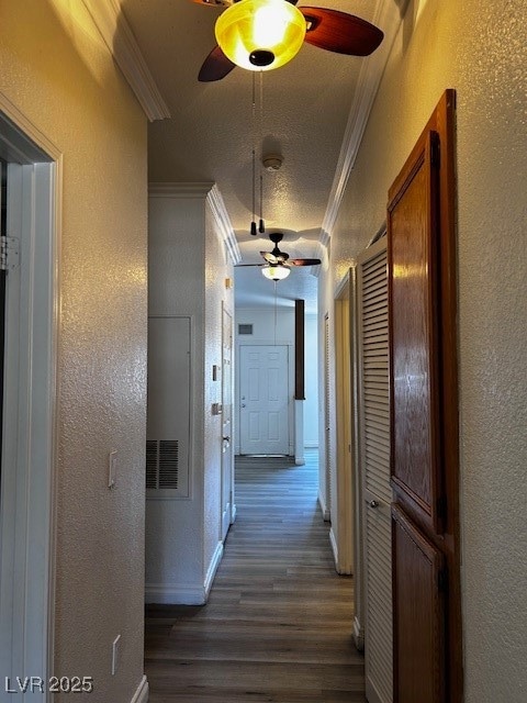 Hallway with ornamental molding, a textured wall,