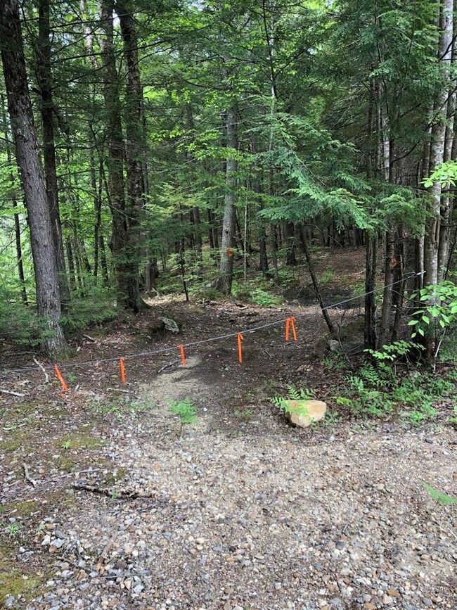 42 Forest Pond Rd unit 42, New Hampton, NH 03256 - photo 7