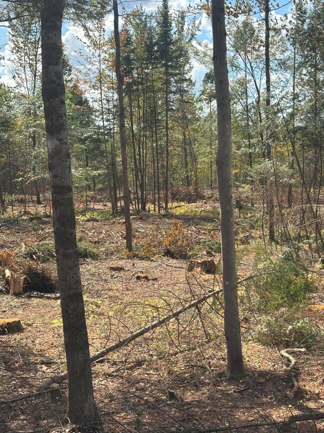 M10/18-7 Brown Rd, Mercer, ME 04957 - photo 3