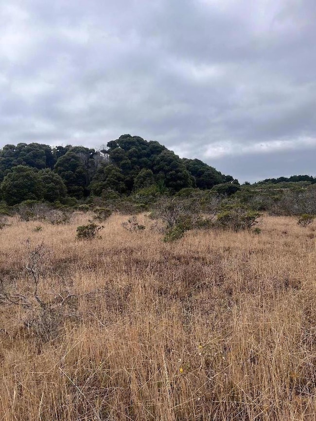 200 Dolores Ave, Half Moon Bay, CA 94019 - photo 7