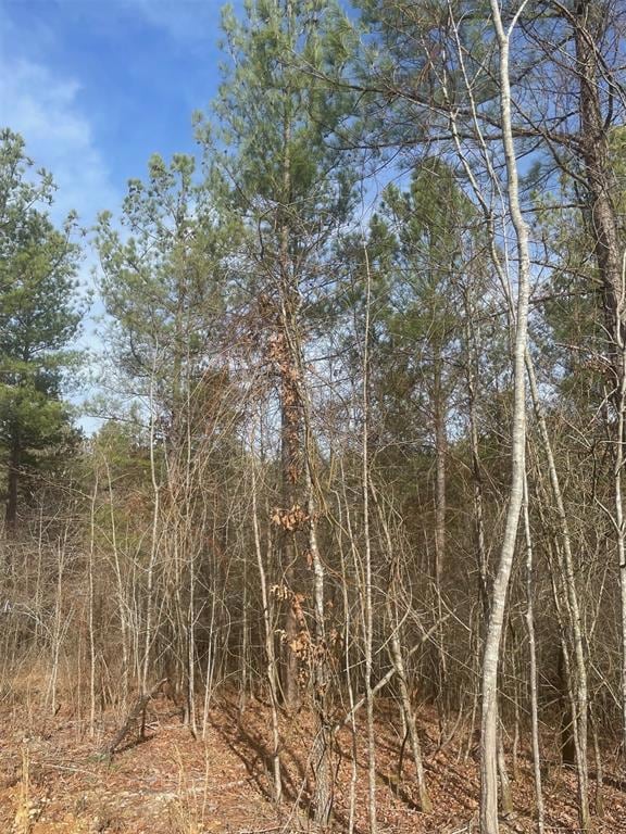 726 Timber Creek Trails South XI, Broken Bow, OK 74728 - photo 4