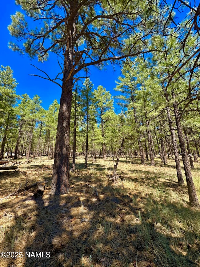 210 N Stoneman Blvd, Williams, AZ 86046 - photo 6