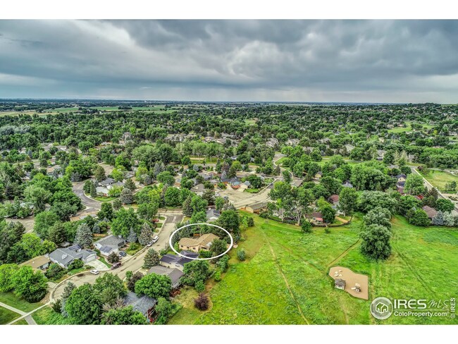 7740 Manila Place, Niwot, CO 80503 - photo 7