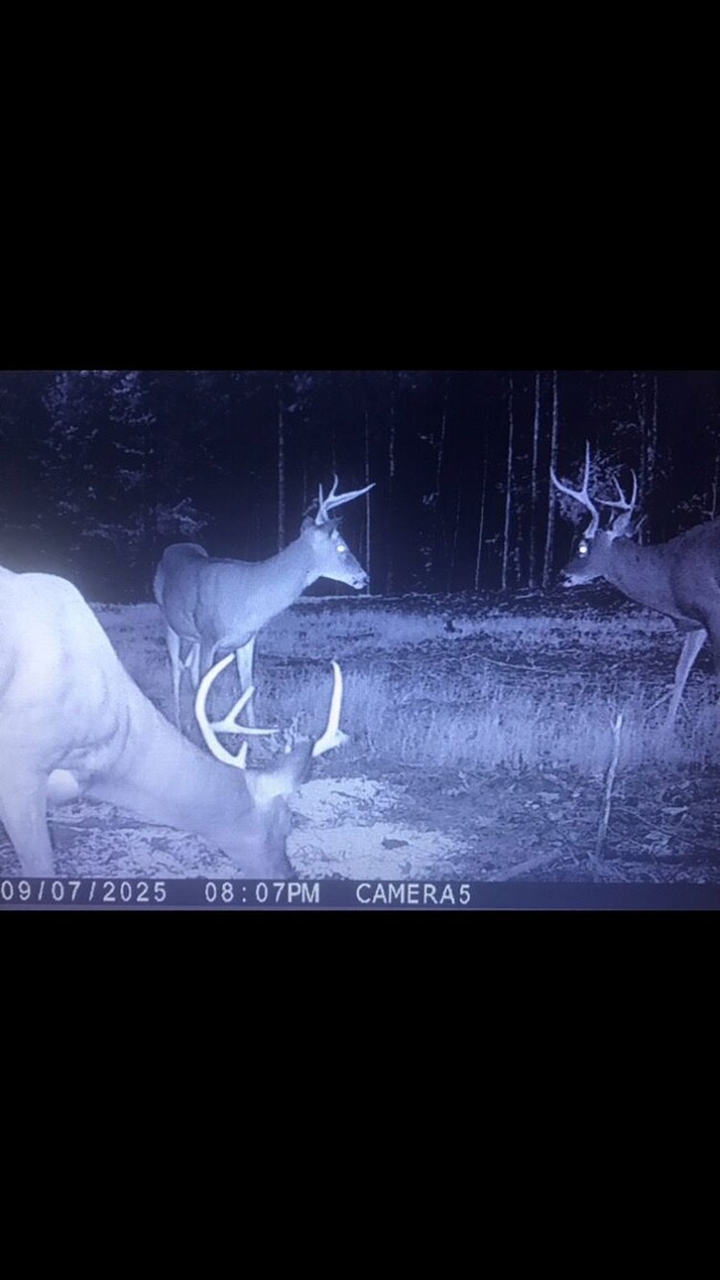 0 Reese Rd unit 25651133, Rutledge, GA 30663 - photo 4