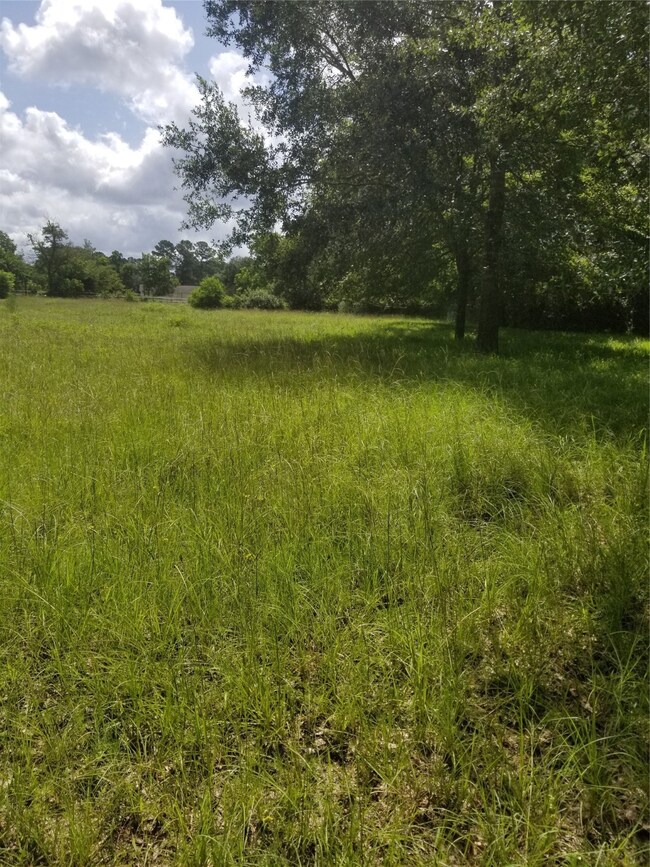 0 Beyette Rd unit 6529263, Magnolia, TX 77355 - photo 3