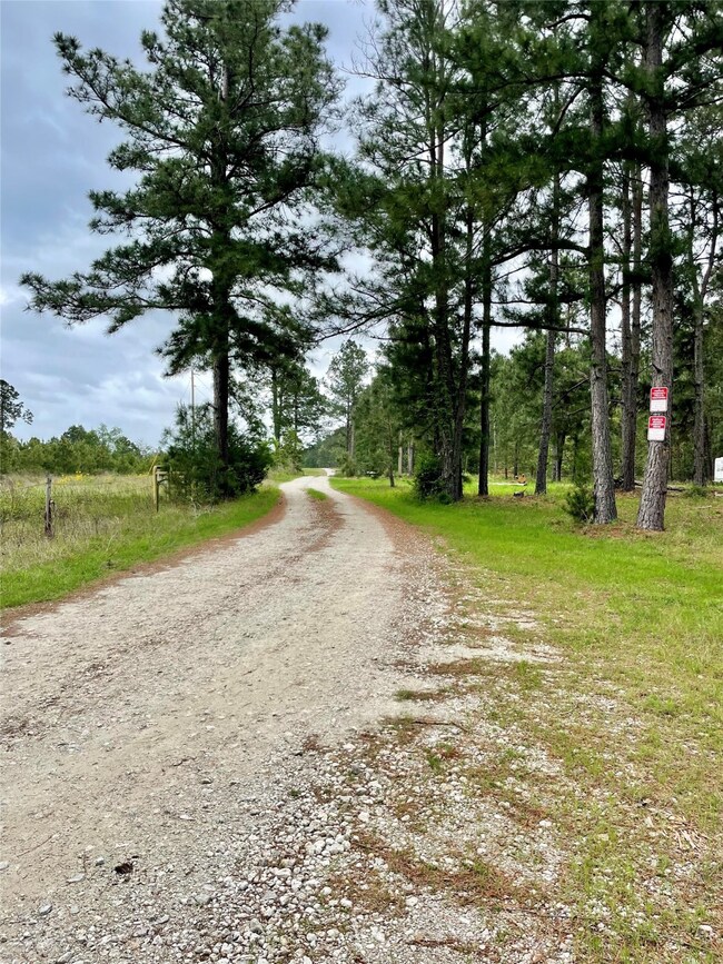 0 unit 46148677, Lovelady, TX 75851 - photo 2