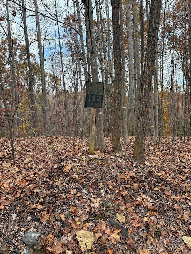 V/L Lot 112 Trail Ridge, Marion, NC 28752 - photo 4