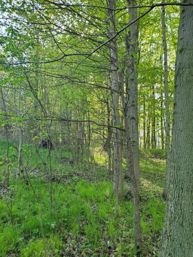 Lot 13 Hjermstad Dr, Ionia, MI 48846 - photo 4