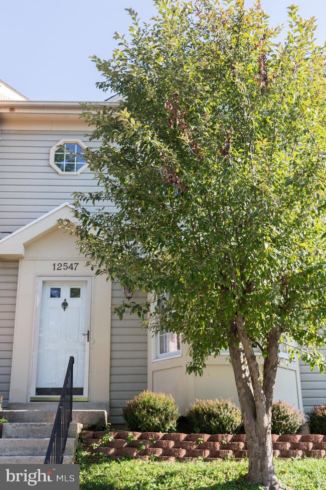 12547 Coral Grove Place, Germantown, MD 20874 - photo 2