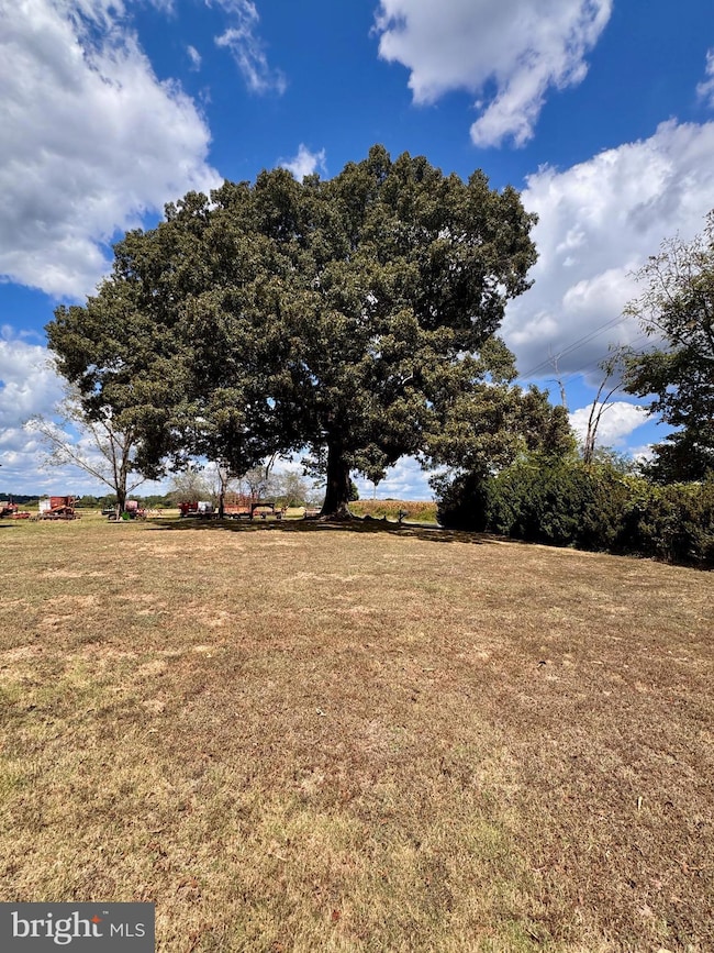 7016 Don Rd, Mineral, VA 23117 - photo 5