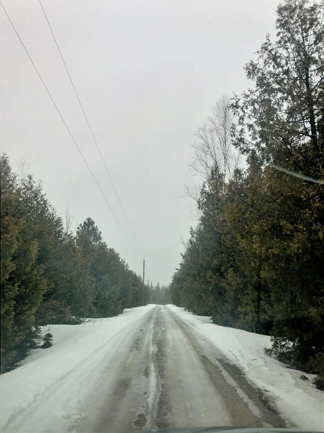 Driveway - half way