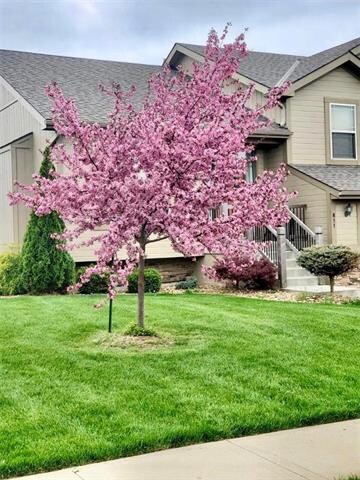 Beautiful tree in the front yard. (Currently not i