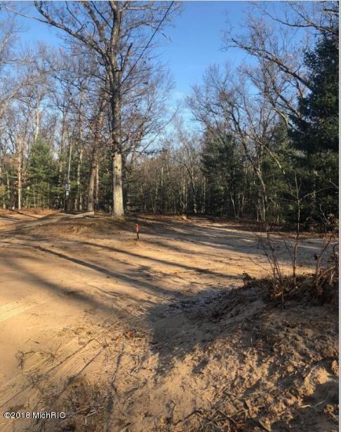 8205 N Perch Lake Dr, Bitely, MI 49309 - photo 7