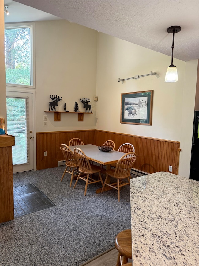 9 Mountain Sun Way unit 20C, Waterville Valley, NH 03215 - photo 6