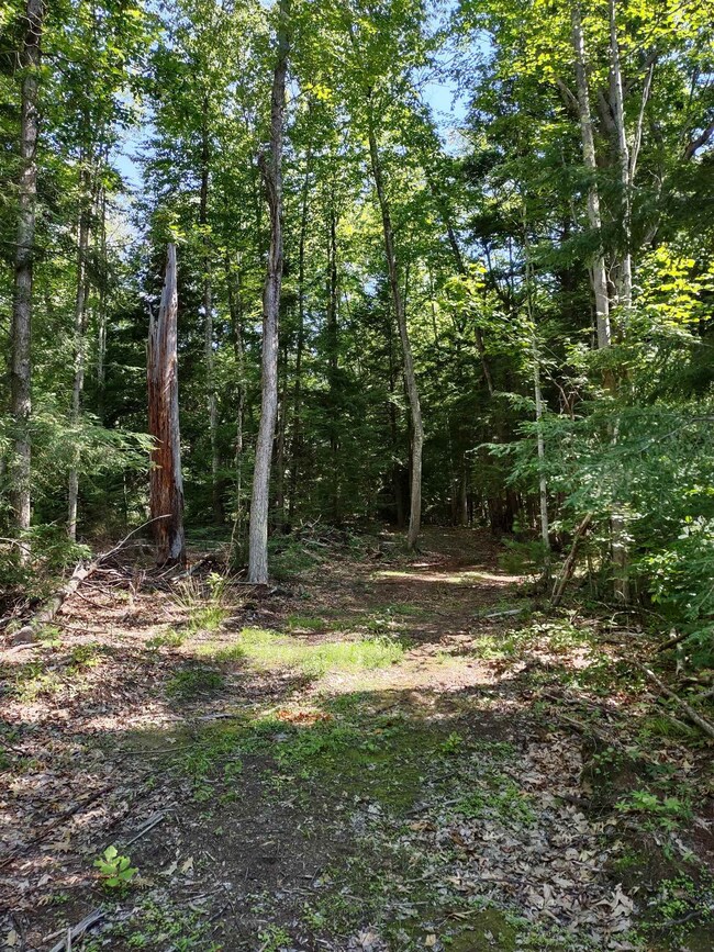 55 Mine Rd unit 17-1-1, Winchester, NH 03470 - photo 4