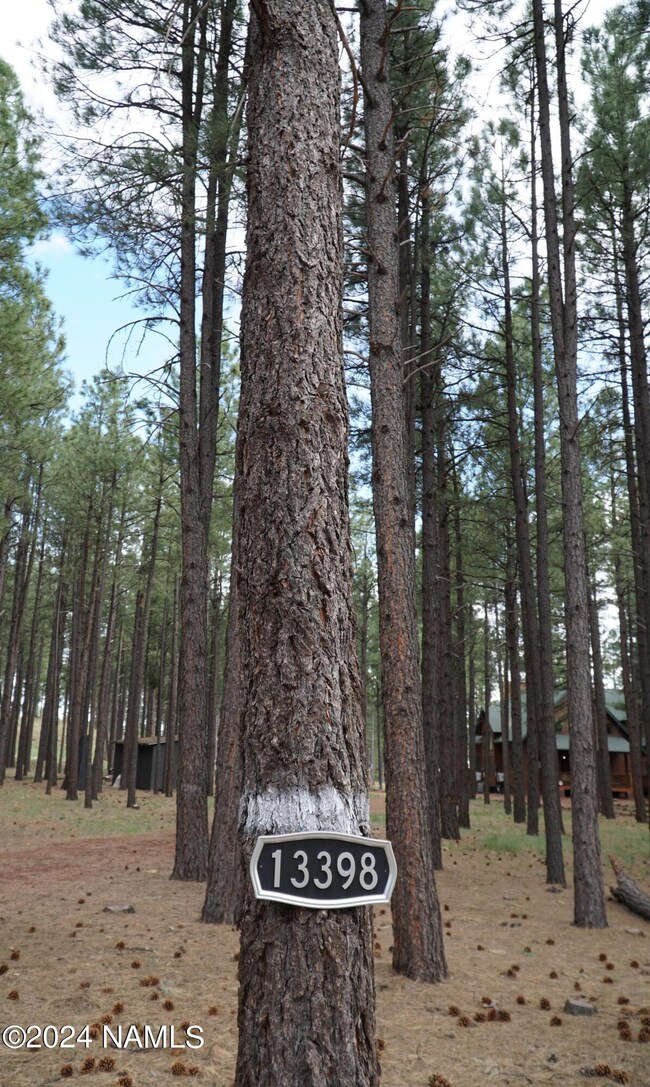 address