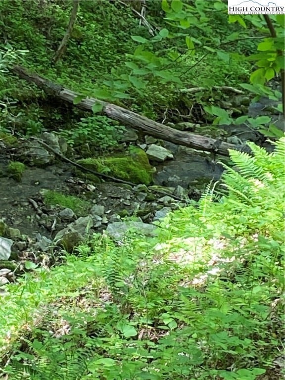 TBD Jake's Mountain Rd, Deep Gap, NC 28618 - photo 6