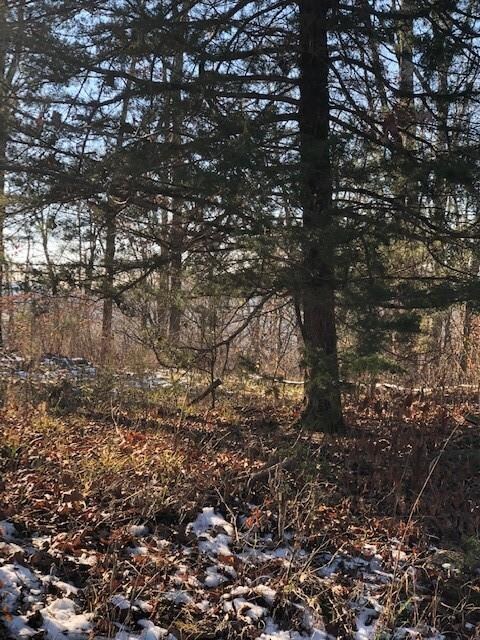 11763 Bunyard Rd, Winslow, AR 72959 - photo 6