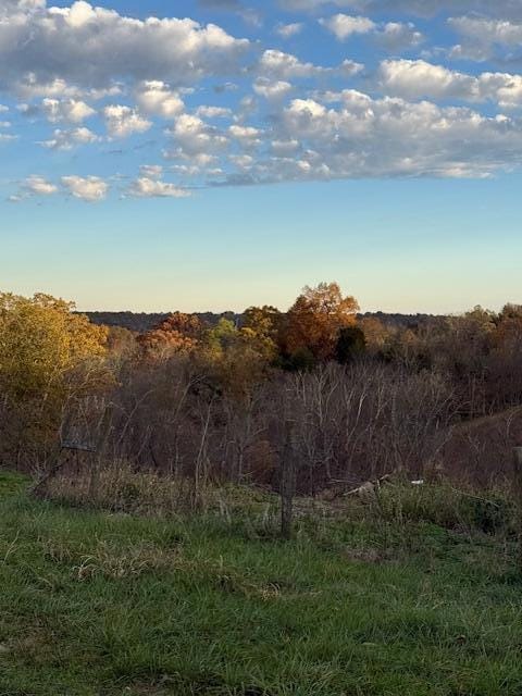 2428 Hempfling Rd, Morning View, KY 41063 - photo 2