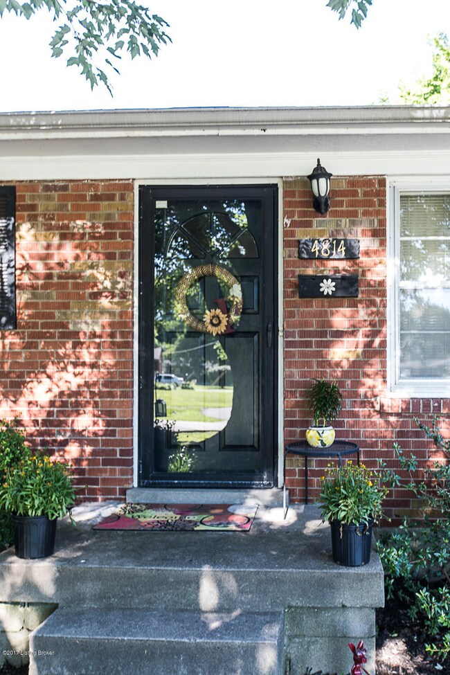 Full View Storm Door
