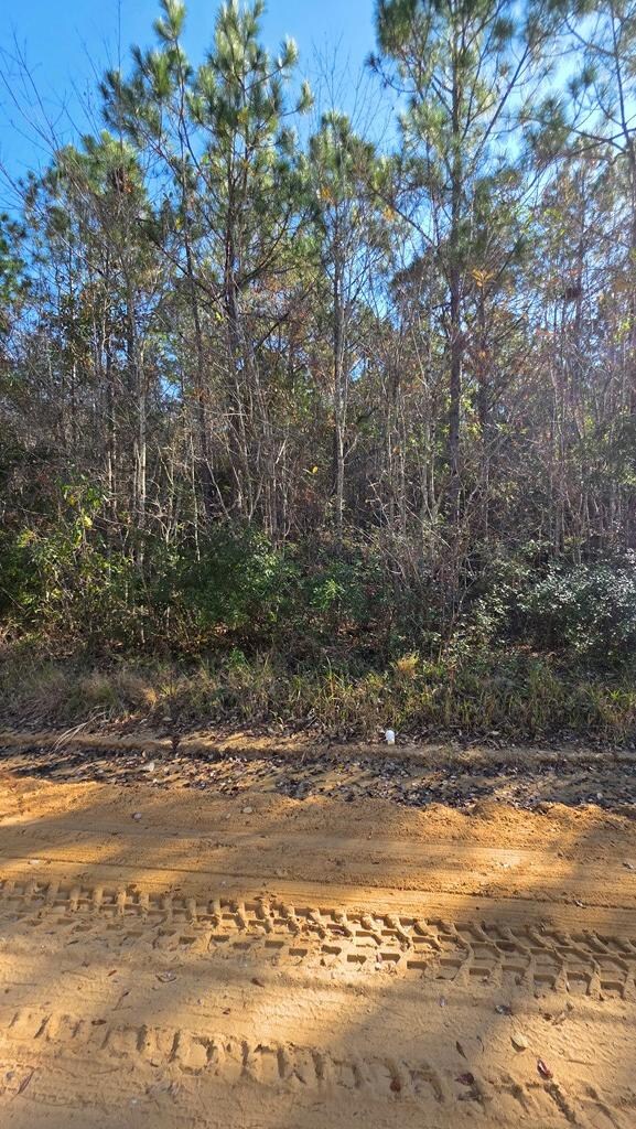 0 Primrose Rd, Fitzgerald, GA 31750 - photo 2