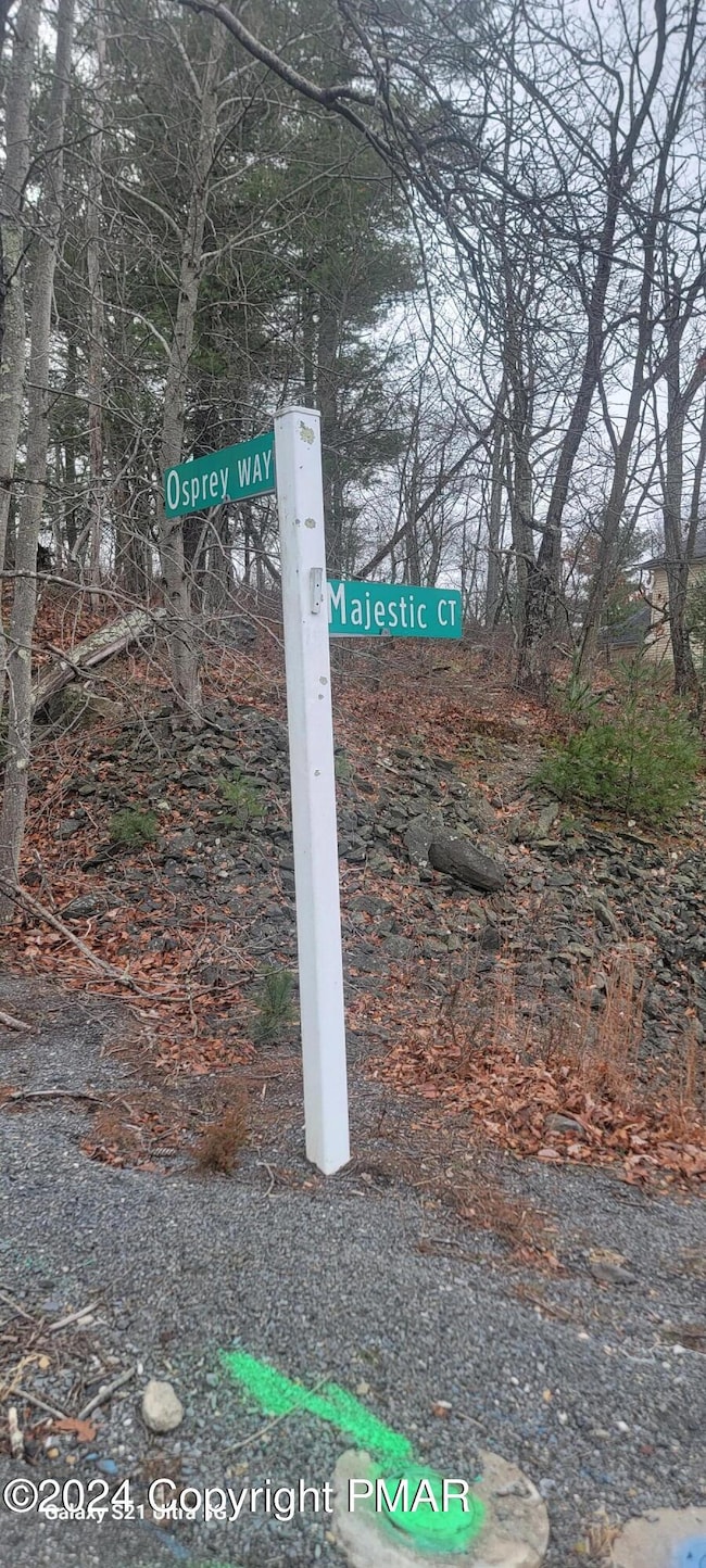 20241215_121630