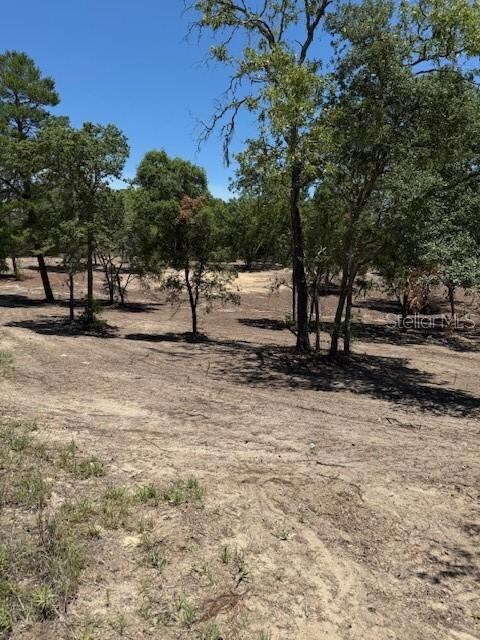 0 SE 148th Ave unit MFROM702851, Williston, FL 32696 - photo 3