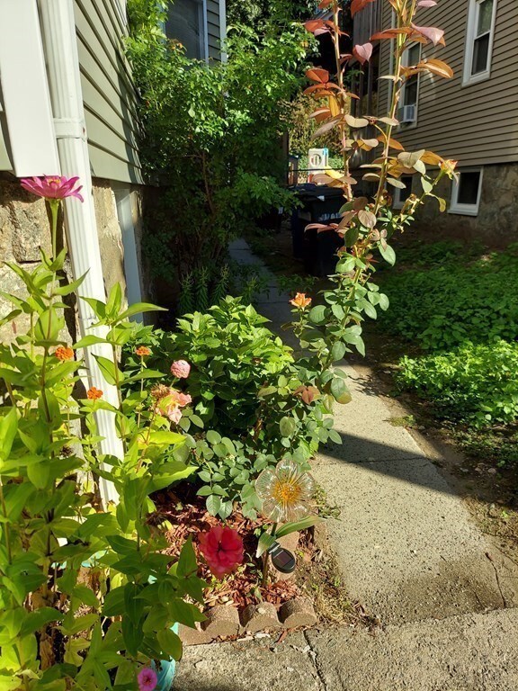 10 Sheldon St unit 2, Roslindale, MA 02131 - photo 3