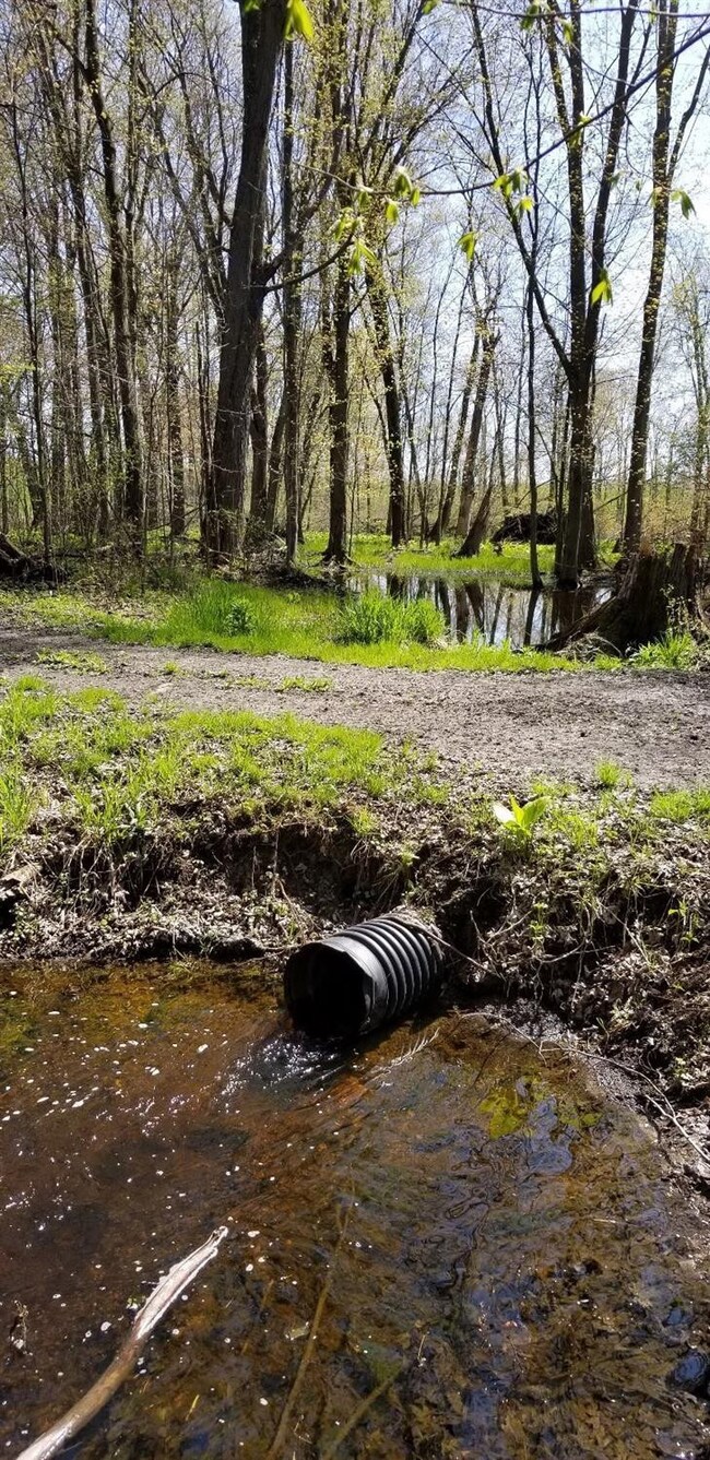 Wetland with culvert