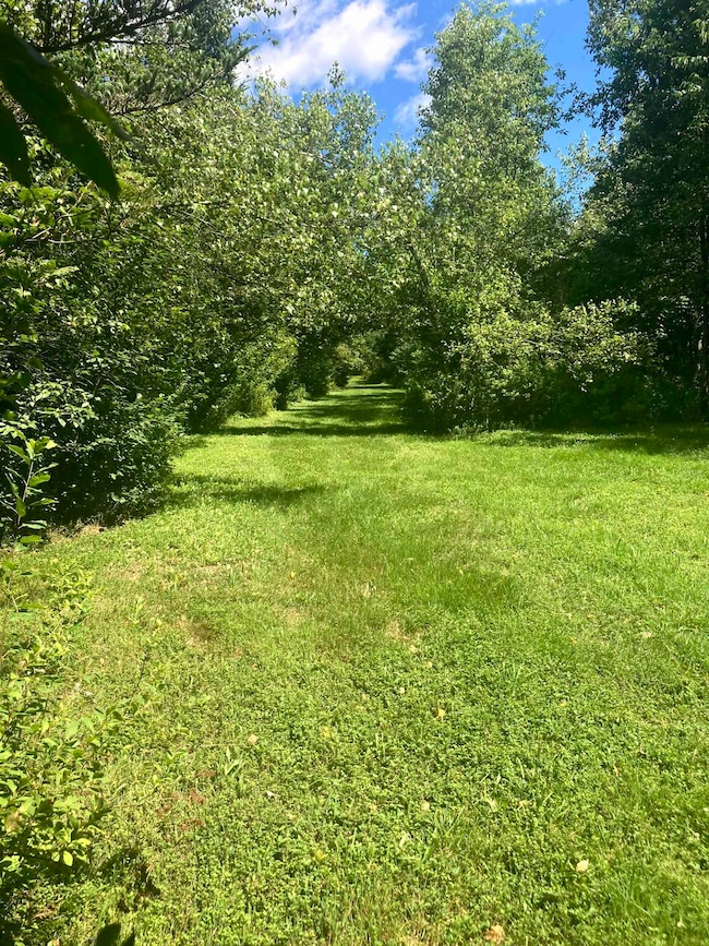 - Creek Rd, Albany, VT 05820 - photo 7