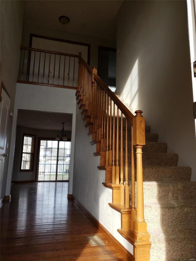 686 Vinci Dr, Caseyville, IL 62232 - photo 4