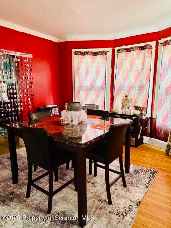 527 Quincy Ave, Scranton, PA 18510 - photo 3