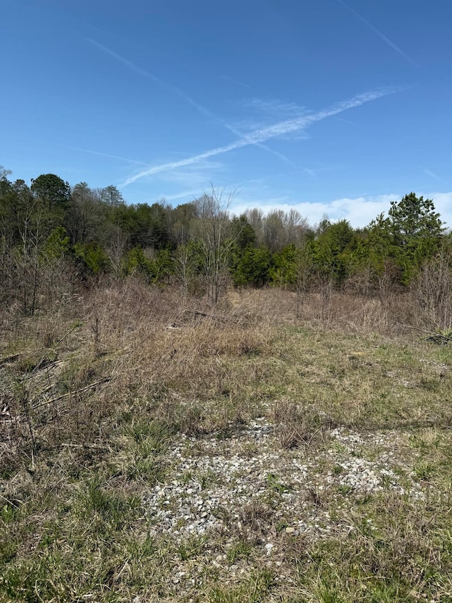 0 S Amhurst Place unit RTC3051683, Englewood, TN 37329 - photo 2