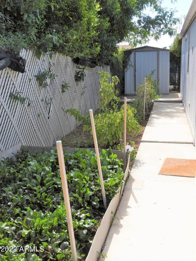 Garden area