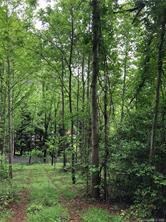 0 Sleepy Gap Rd unit 6 3461549, Arden, NC 28704 - photo 4