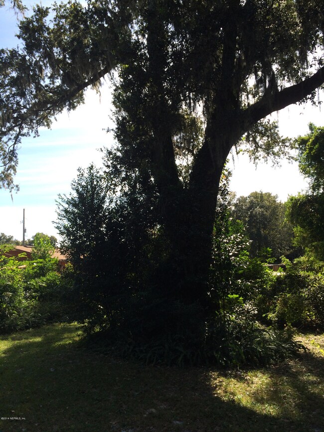 2522 Southside Blvd, Jacksonville, FL 32216 - photo 5