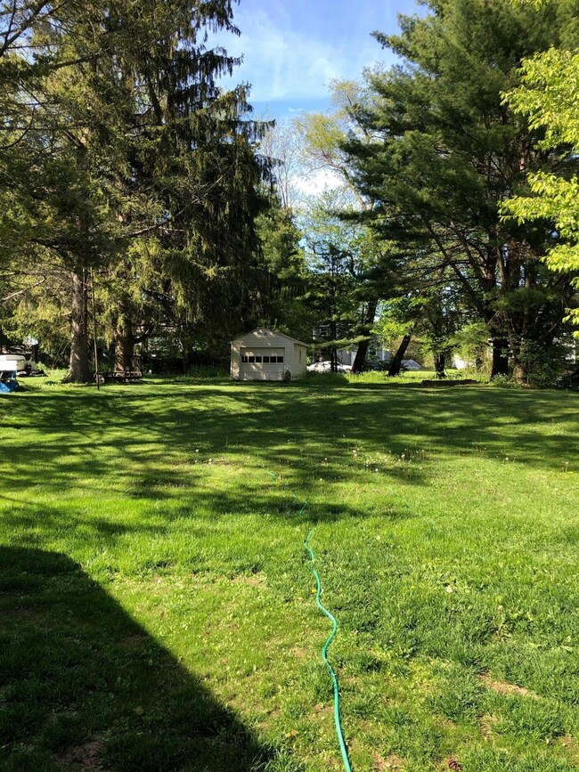Back yard