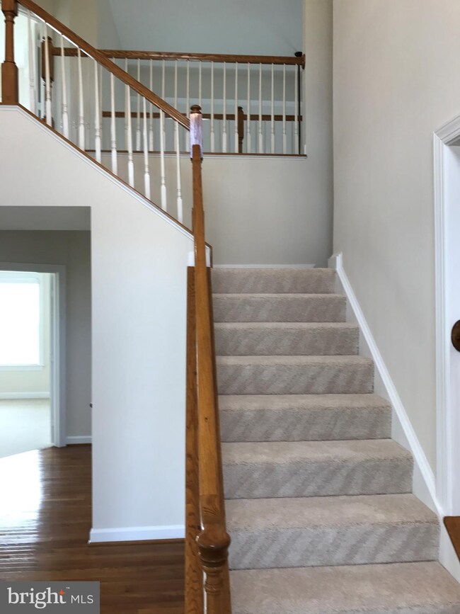 25338 Understanding Ct, Aldie, VA 20105 - photo 4