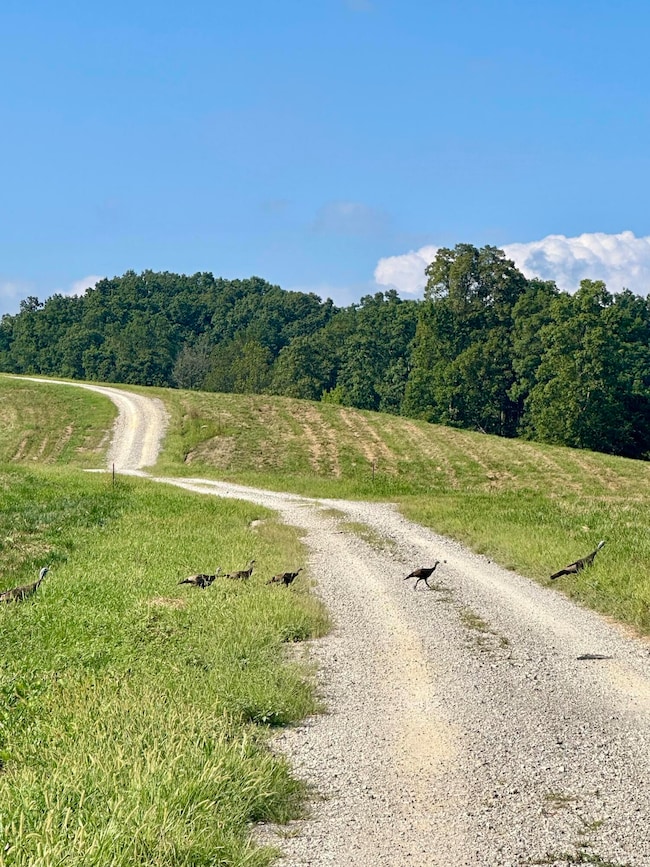 165 Pittsburg Landing, London, KY 40741 - photo 6