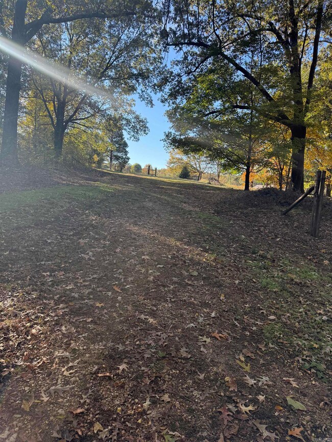 865 Cr 960 unit 4-15-05, Brookland, AR 72417 - photo 4