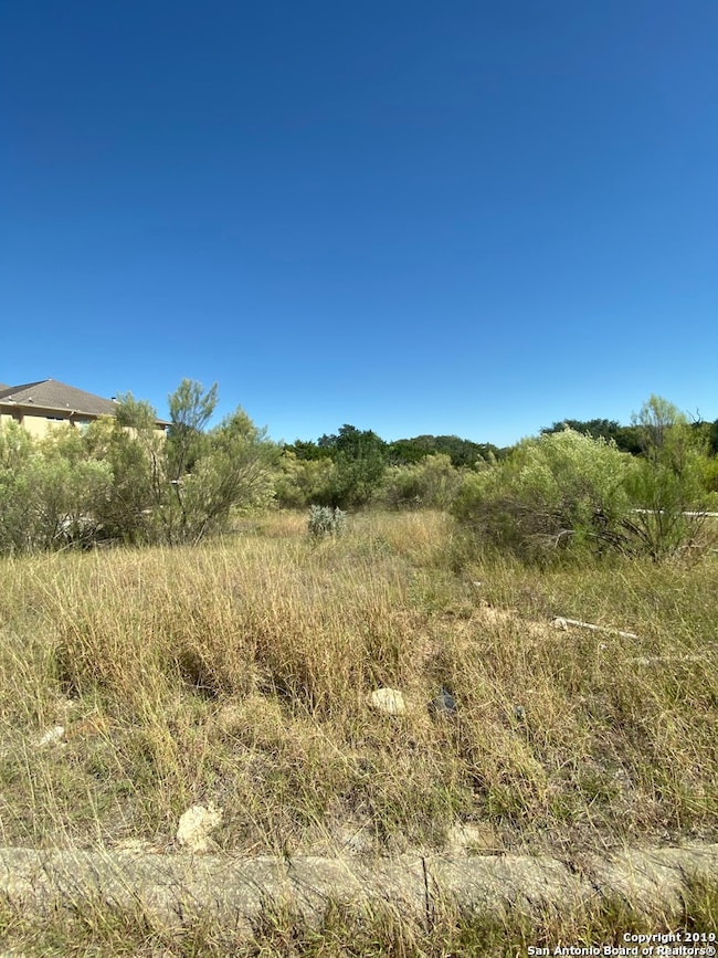23634 Verde River, Cross Mountain, TX 78255 - photo 2