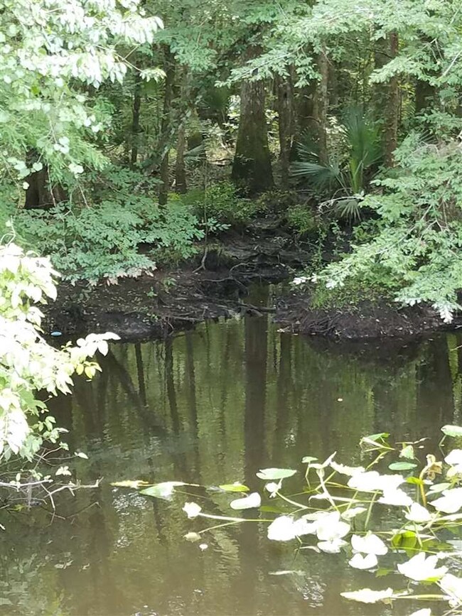 5561 County Road 208, Saint Augustine, FL 32092 - photo 5